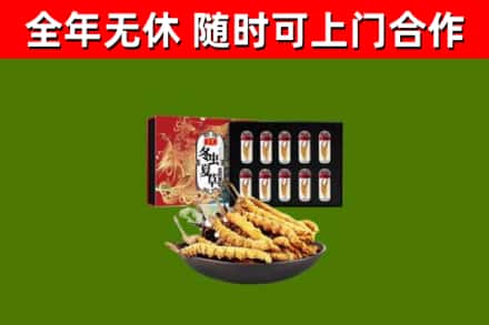 娄烦回收冬虫夏草价格