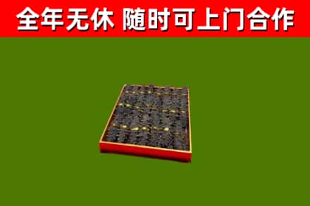 娄烦回收海参